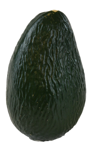 Real Avocado